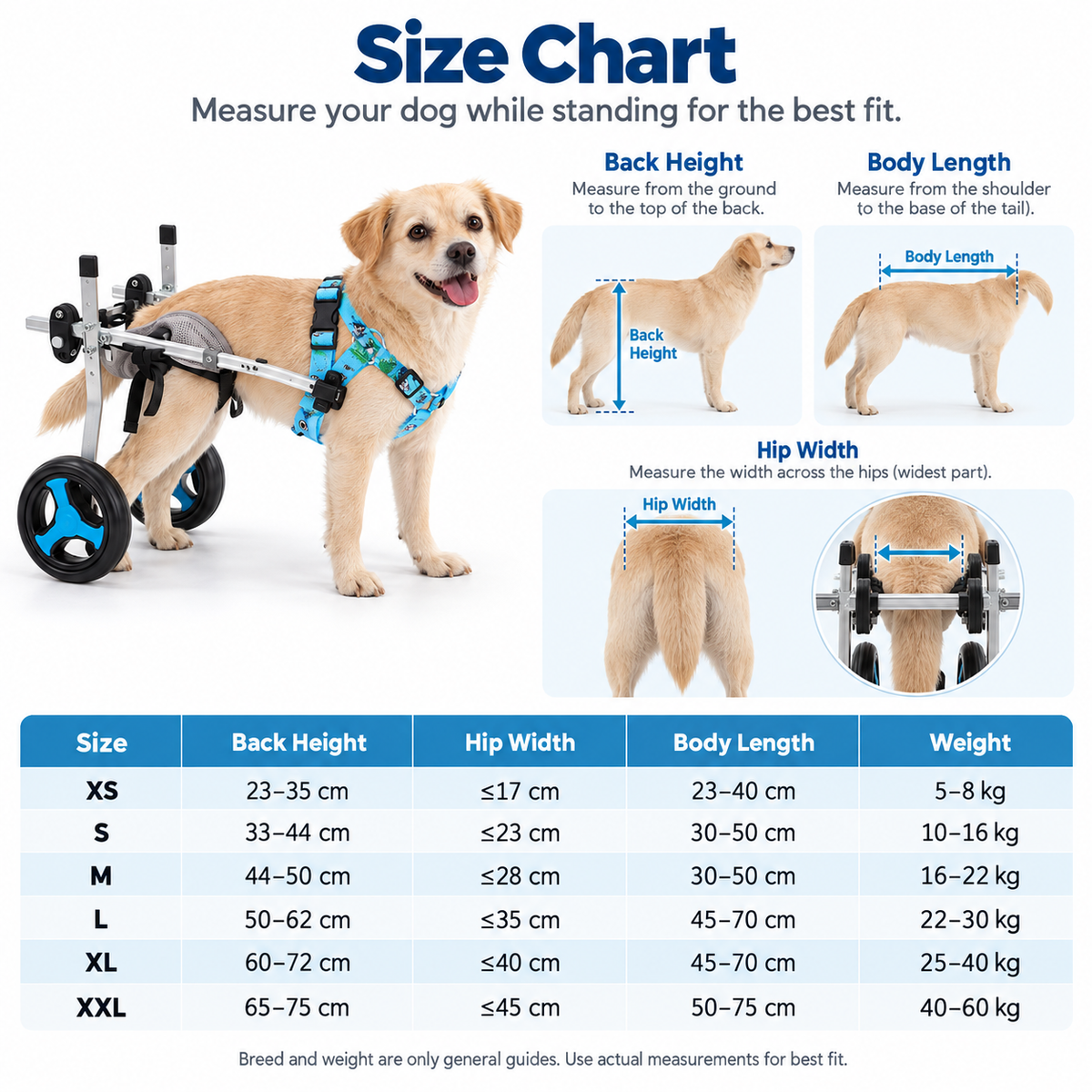 Rear Support Dog Wheelchair