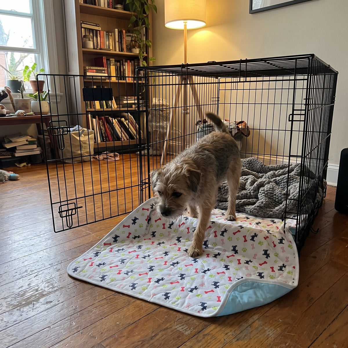White pad lining a wire dog crate
