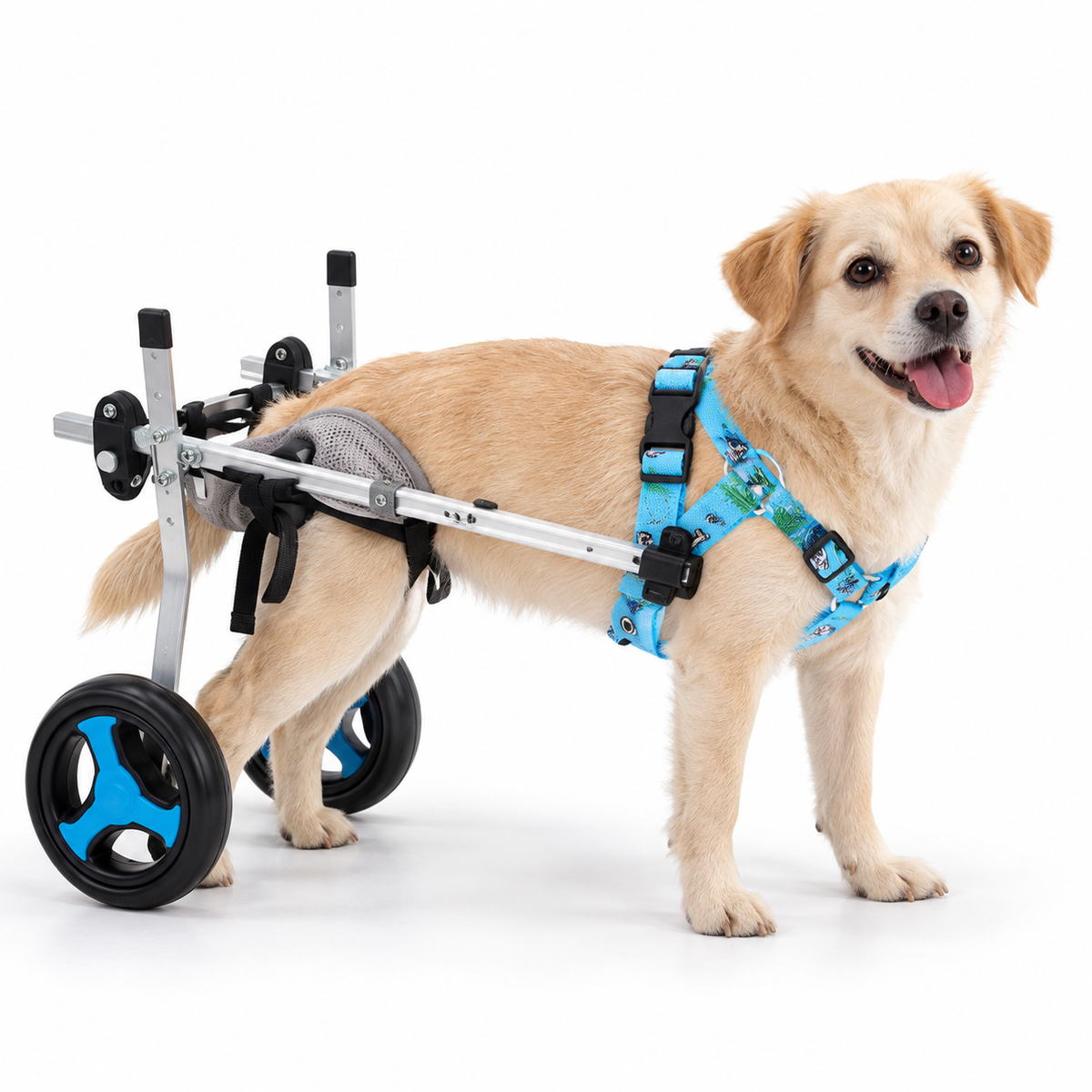 Rear Support Dog Wheelchair