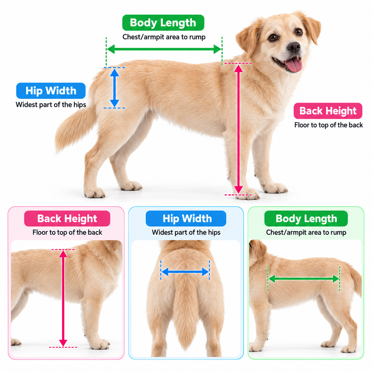 Rear Support Dog Wheelchair