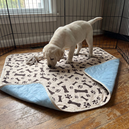 Puppy sniffing the beige pad inside a playpen