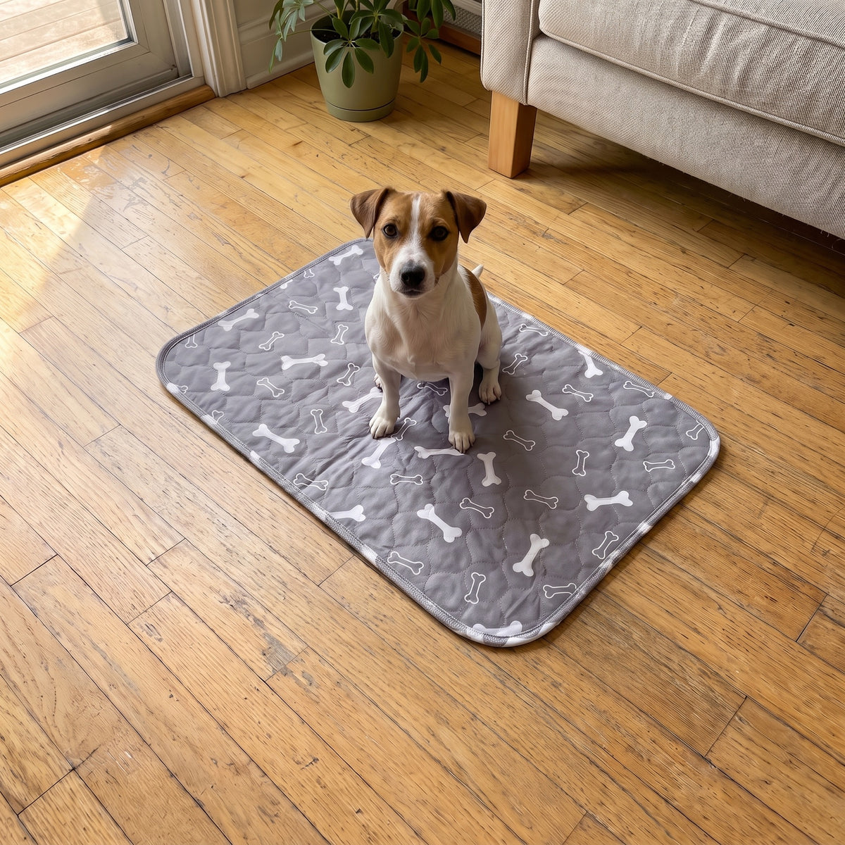Medium Grey pad, 16 x 24 in, with a Jack Russell terrier sitting on it