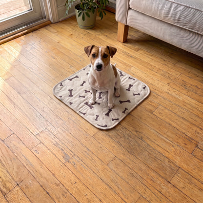 Small Beige pad, 12 x 12 in, with a Jack Russell terrier sitting on it