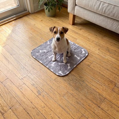 Small Grey pad, 12 x 12 in, with a Jack Russell terrier sitting on it