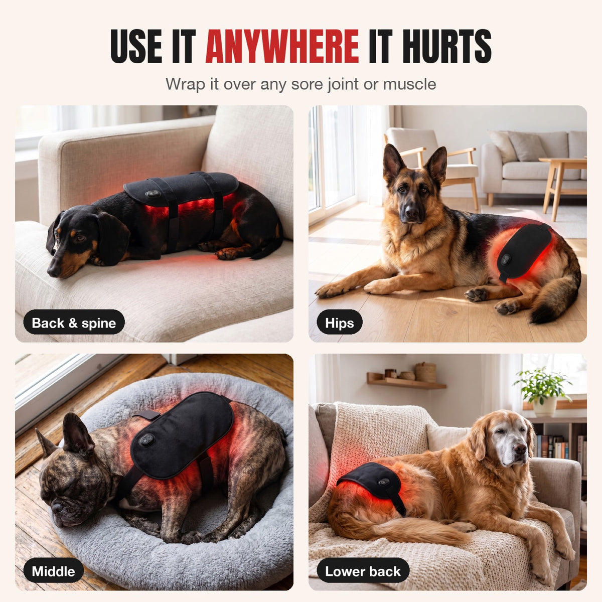 The pad used on the back, hips, middle and legs of different dogs